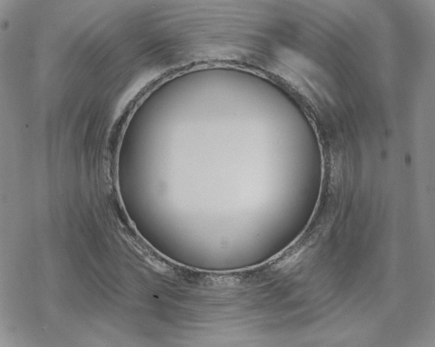 X0000070240878200606051122