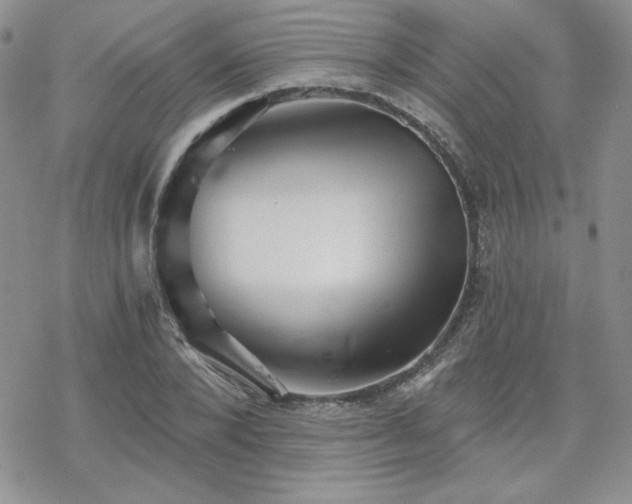 X0000070240880200606051122