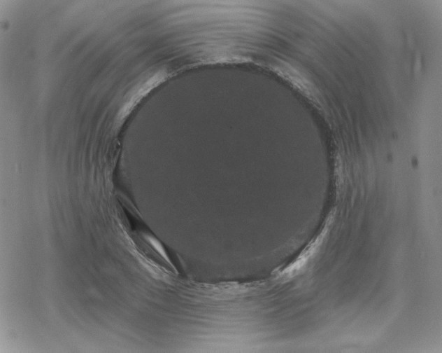 X0000070240881200606051122