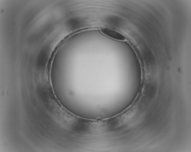 X0000070240883200606051122