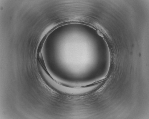 X0000070240884200606051122