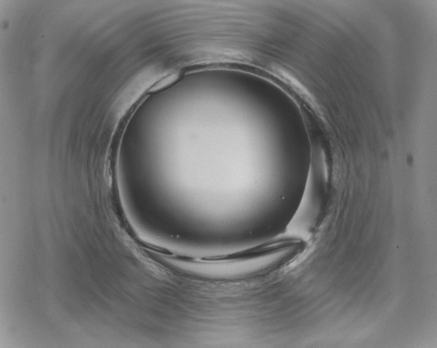 X0000070240885200606051122