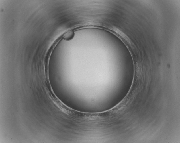 X0000070240886200606051122