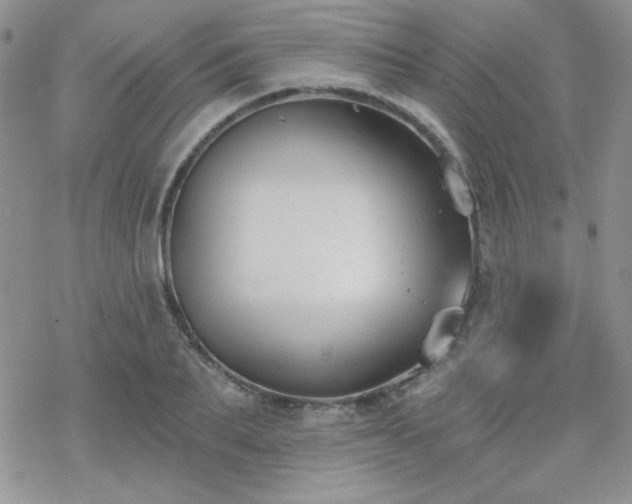 X0000070240887200606051122