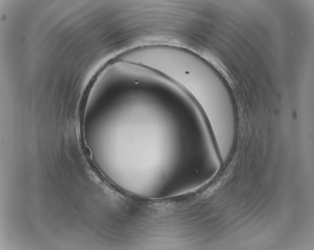 X0000070240888200606051122