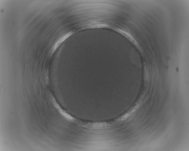 X0000070240889200606051122