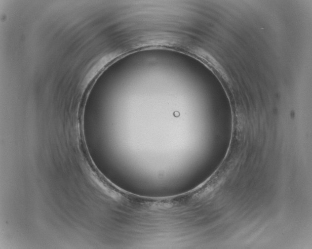 X0000070240890200606051122