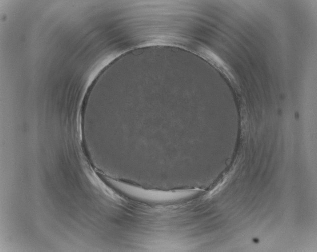 X0000070240892200606051122