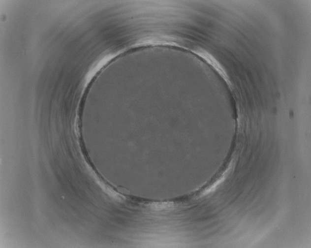 X0000070240893200606051122