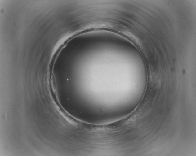 X0000070240894200606051122