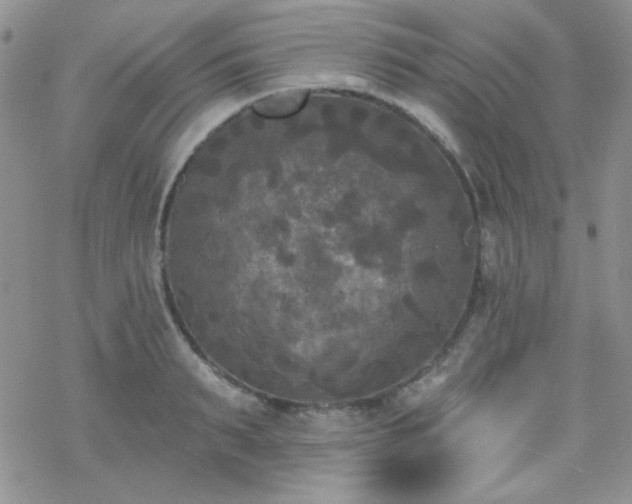 X0000070240895200606051122