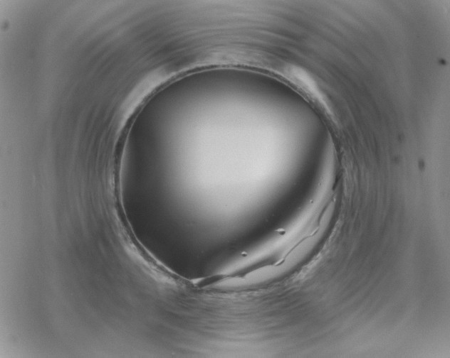 X0000070240896200606051122