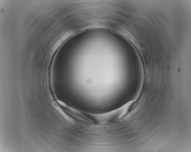 X0000070240898200606051122