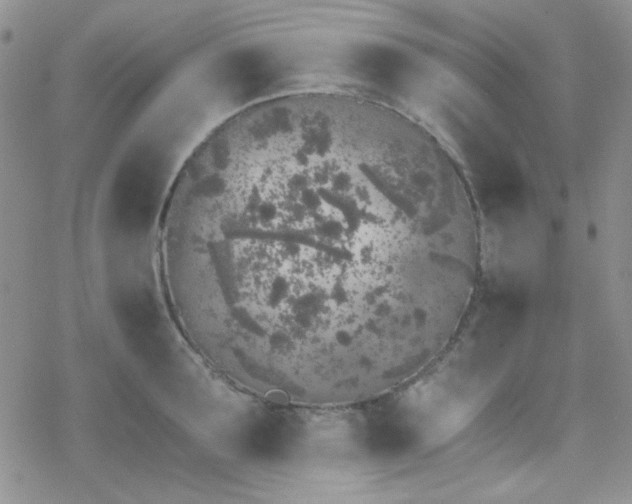 X0000070240899200606051122