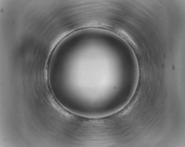 X0000070240900200606051122