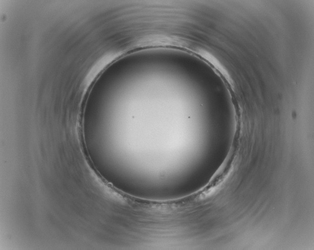 X0000070240901200606051122