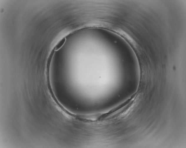 X0000070240902200606051122