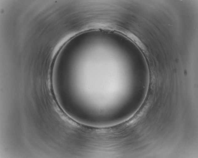 X0000070240904200606051122