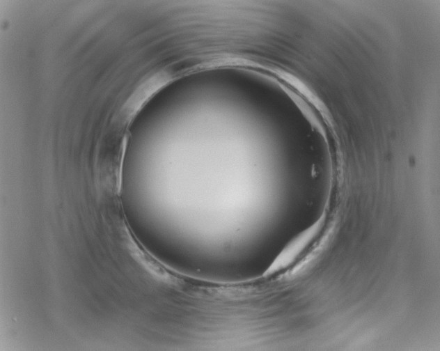 X0000070240905200606051122