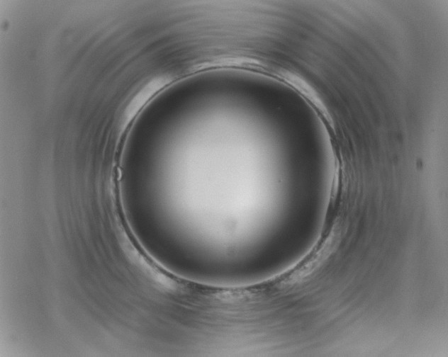 X0000070240906200606051122