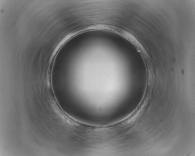 X0000070240908200606051122