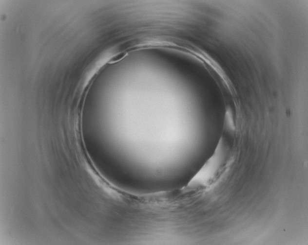 X0000070240909200606051122