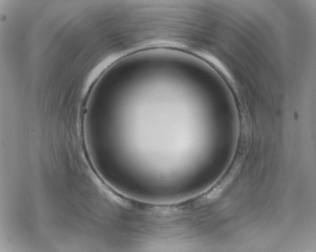 X0000070240910200606051122