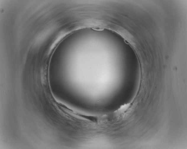 X0000070240912200606051122