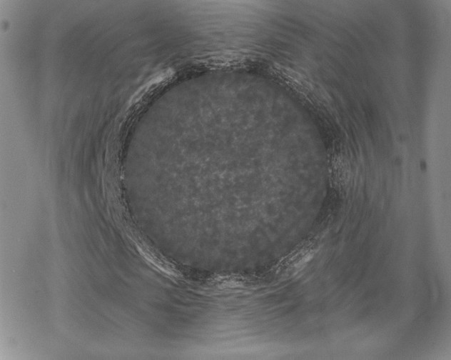 X0000070240913200606051121