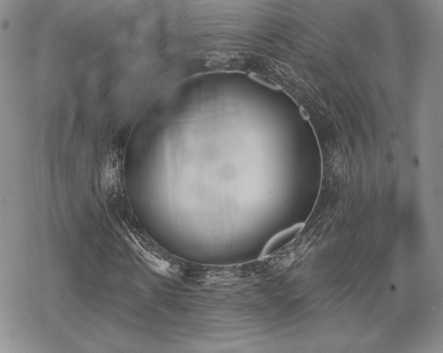 X0000070240914200606051121