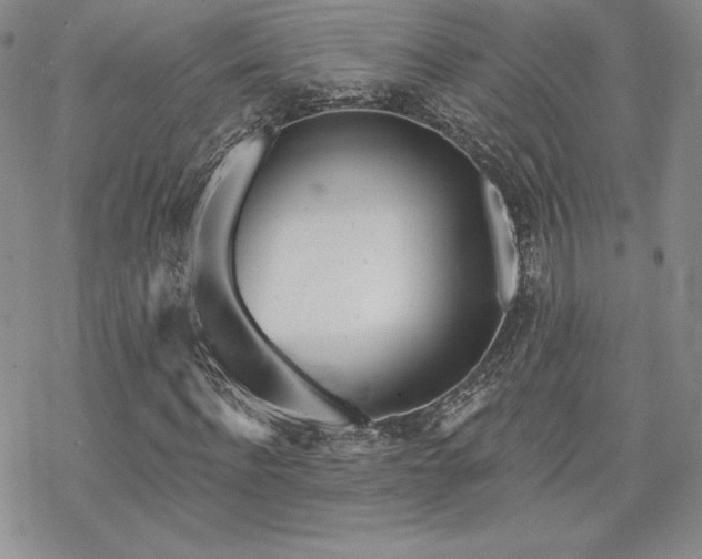 X0000070240916200606051121