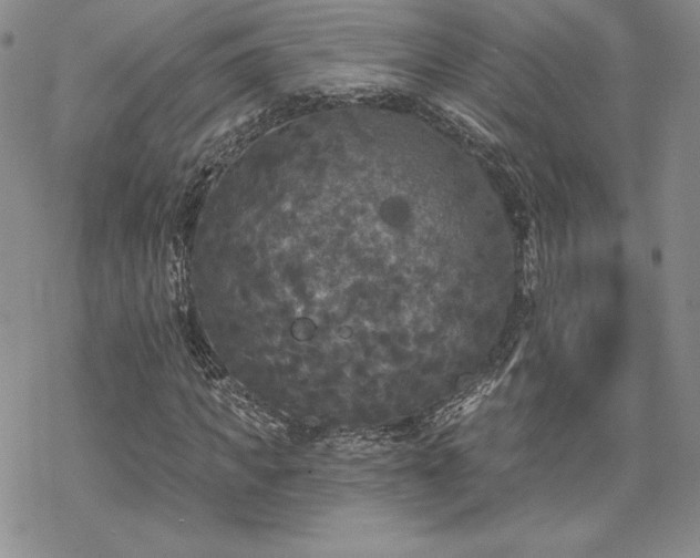 X0000070240917200606051121