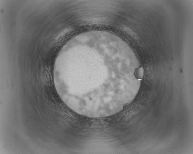 X0000070240918200606051121