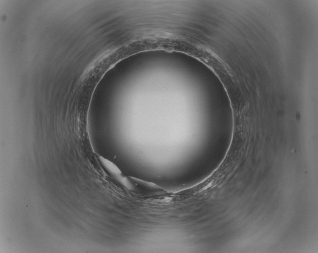 X0000070240919200606051121