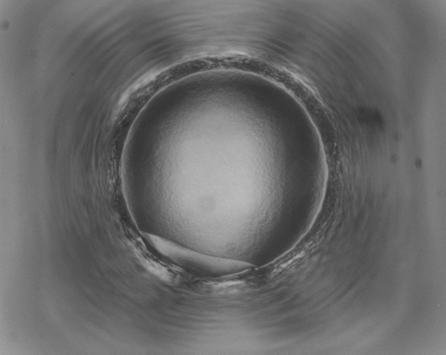 X0000070240920200606051121