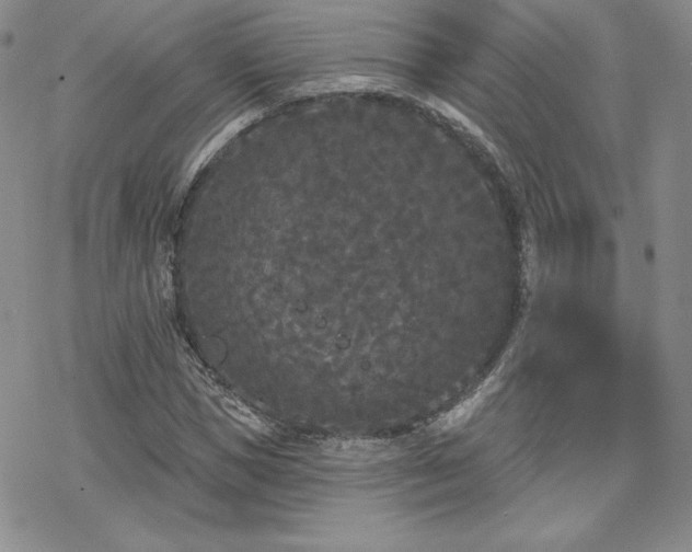 X0000070240921200606051121