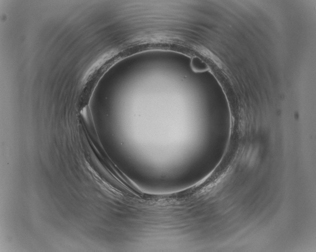 X0000070240922200606051121