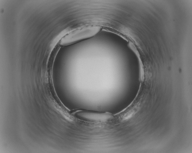 X0000070240924200606051121