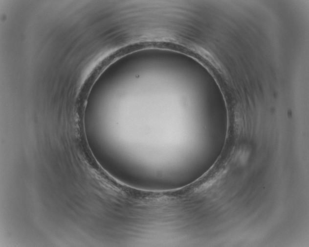 X0000070240926200606051121