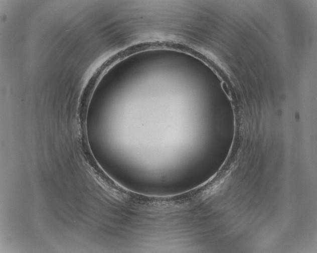 X0000070240927200606051121