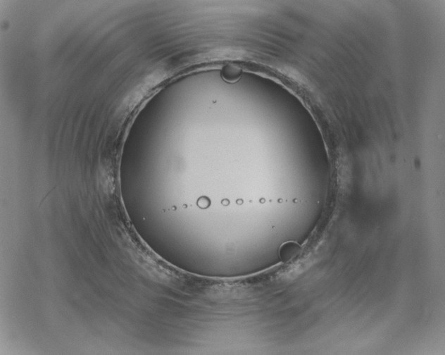 X0000070240929200606051121