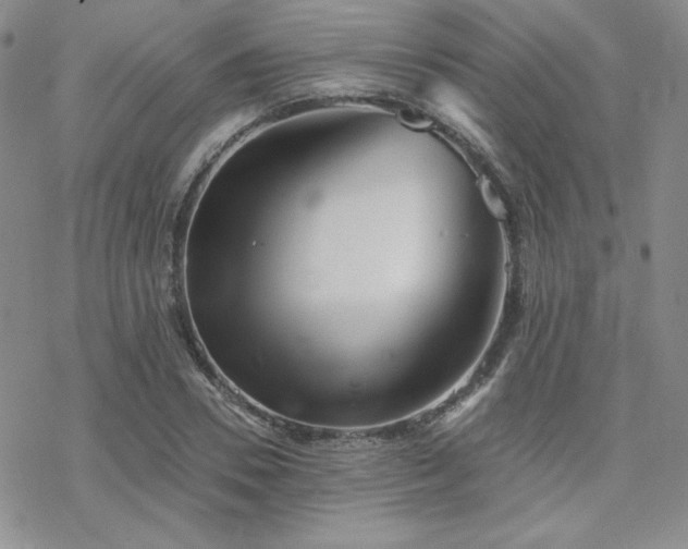 X0000070240930200606051121