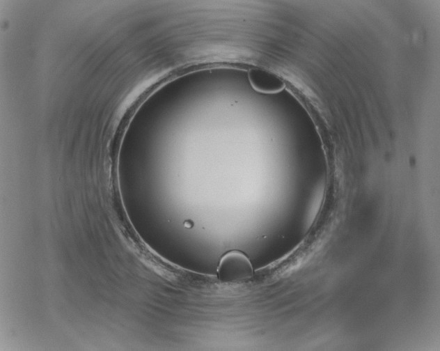 X0000070240933200606051121