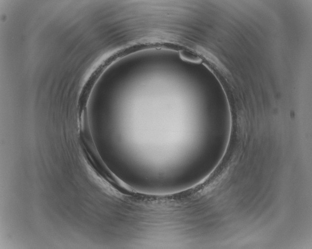 X0000070240934200606051121