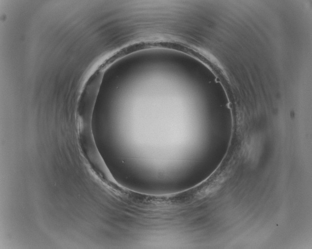 X0000070240935200606051121