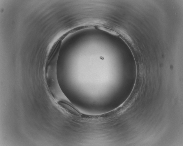 X0000070240936200606051121