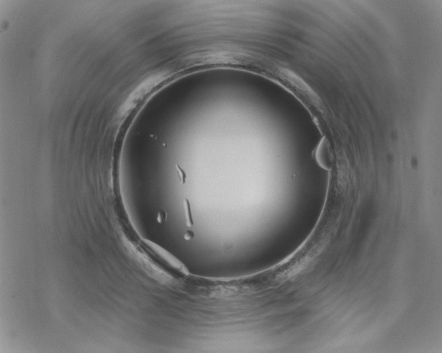 X0000070240938200606051121