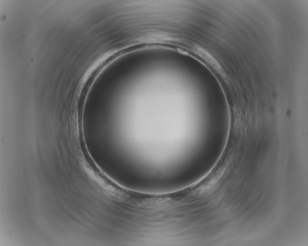 X0000070240939200606051121