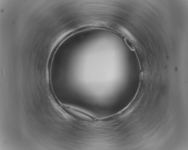 X0000070240940200606051121