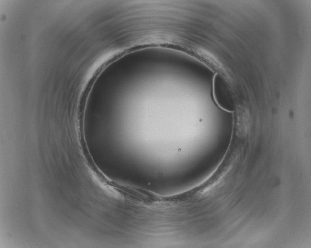 X0000070240942200606051121